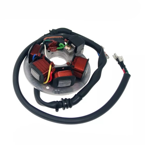 246350220 statore magnete - 246350220,